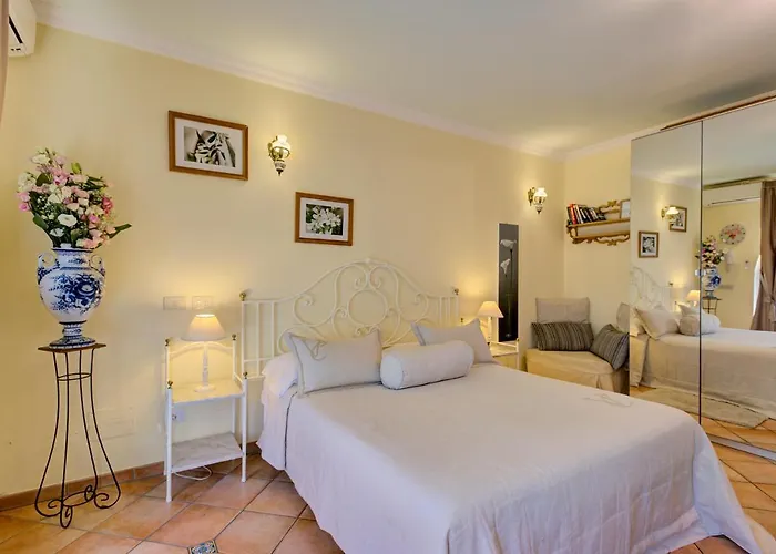 Concetta سورينتو