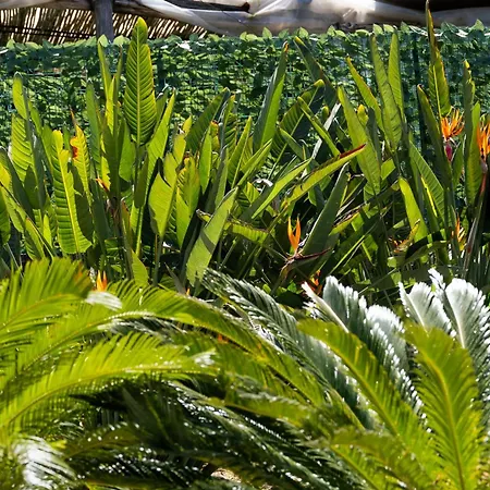 Garden Tower Relais 3* Sorrento